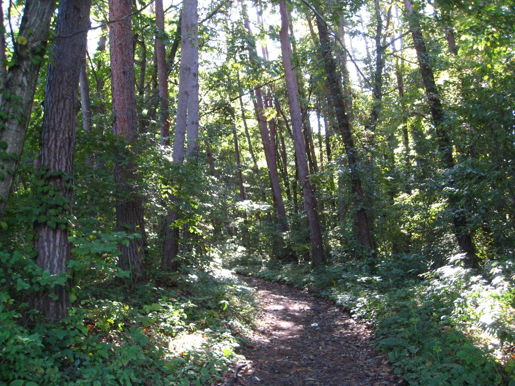 Photo Collection -Japan, Iwate (4)-