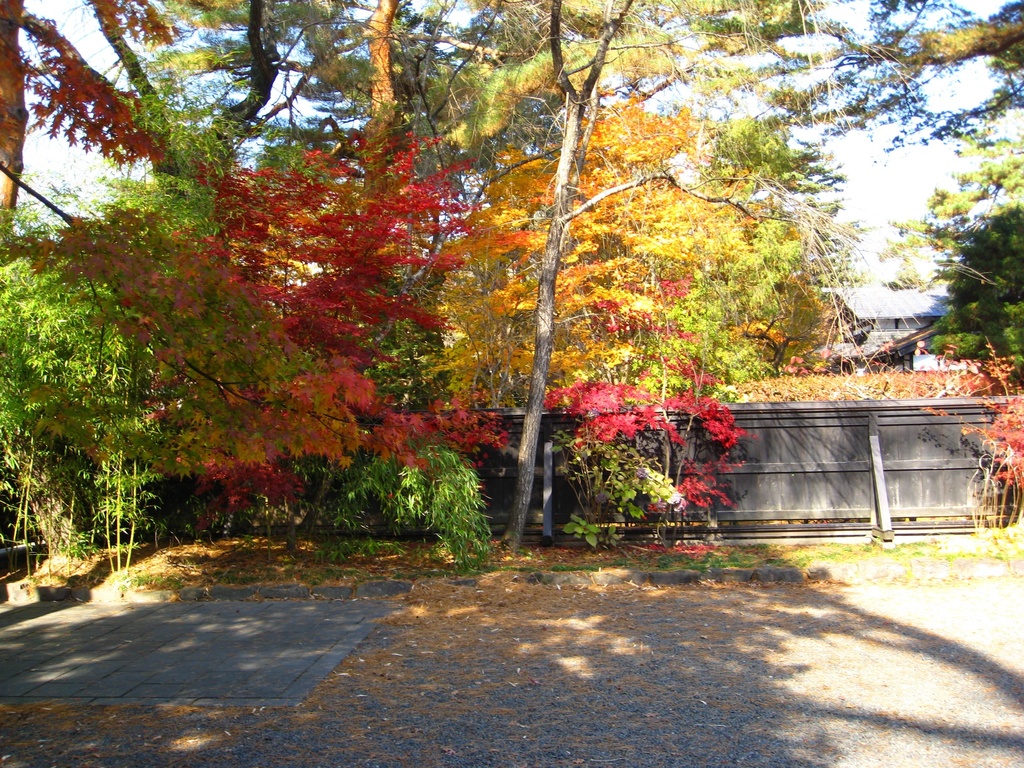 Photo Collection -Japan, Akita (1)-