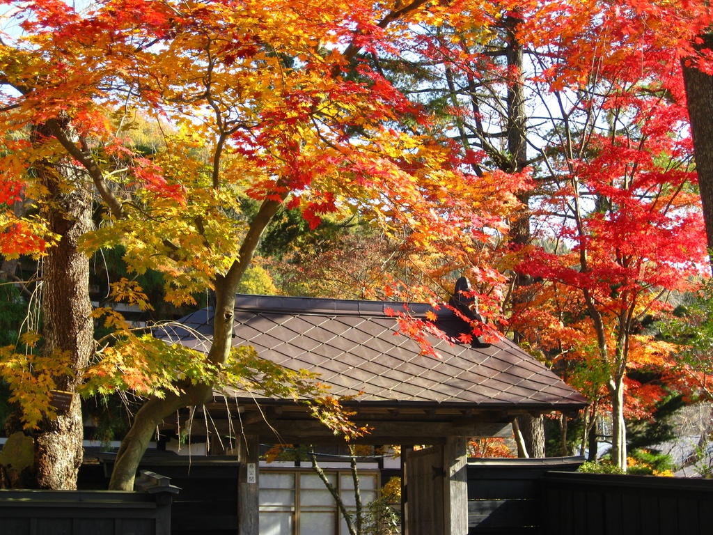 Photo Collection -Japan, Akita (3)-