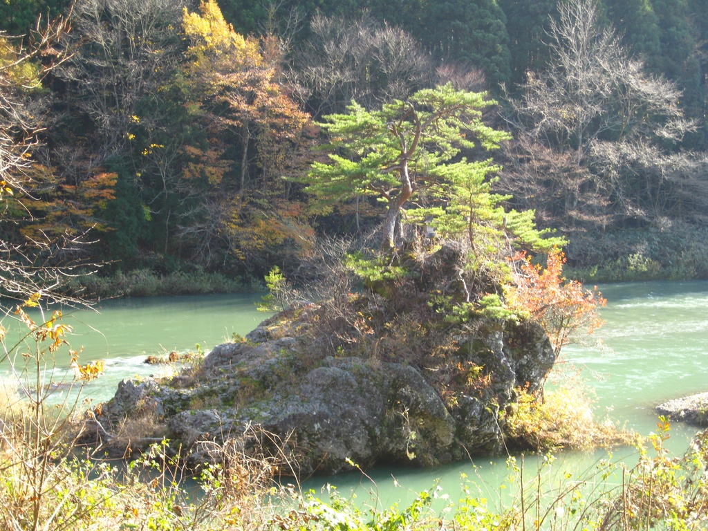 Photo Collection -Japan, Akita (6)-