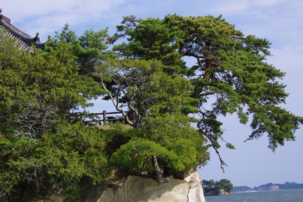 Photo Collection -Japan, Miyagi (1)-