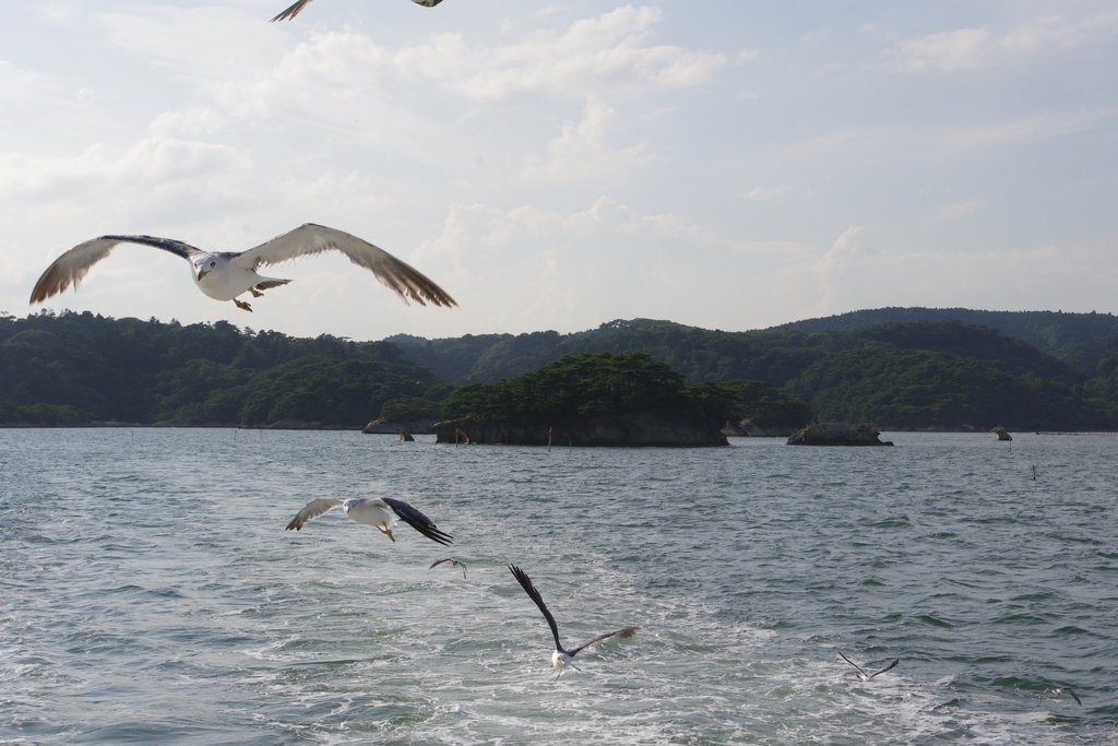 Photo Collection -Japan, Miyagi (2)-