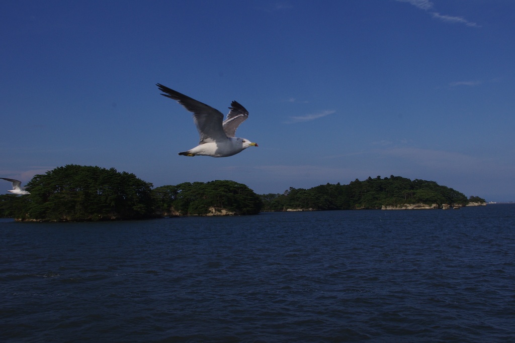 Photo Collection -Japan, Miyagi (2)-