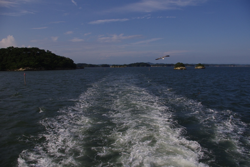 Photo Collection -Japan, Miyagi (3)-