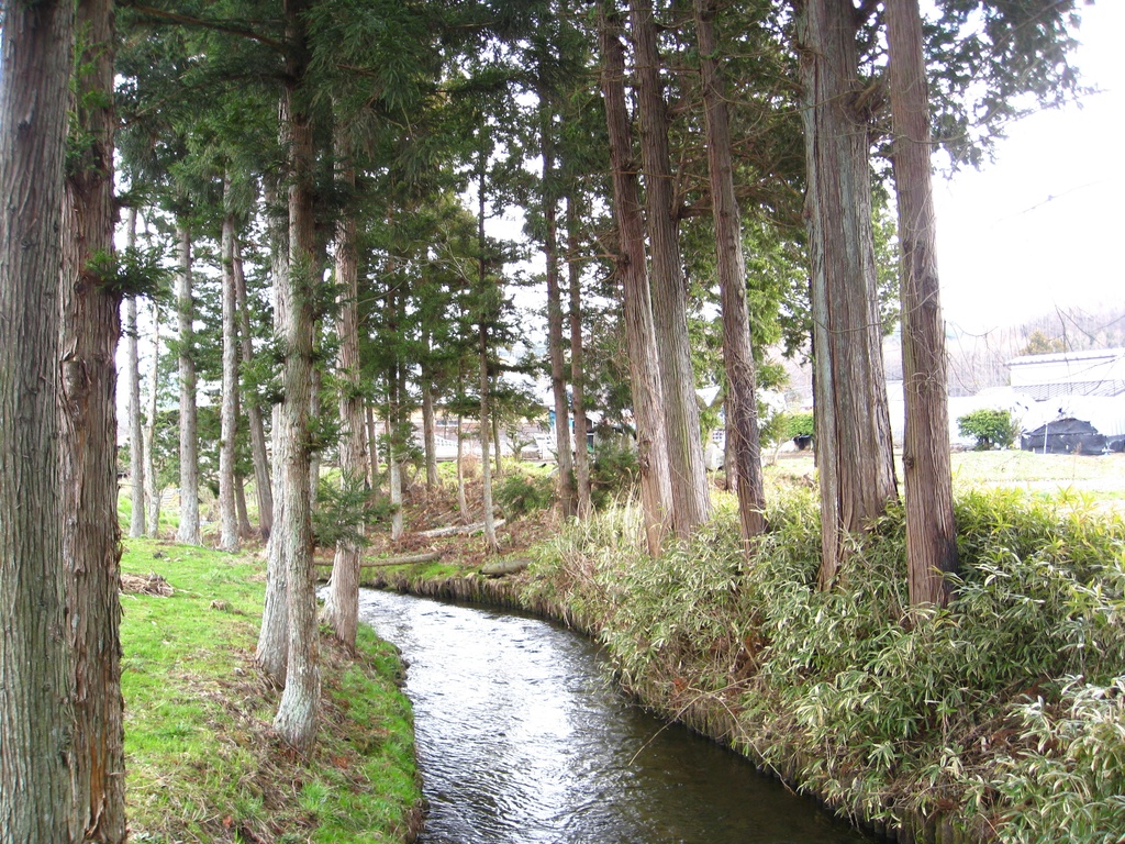 Photo Collection -Japan, Iwate (7)-