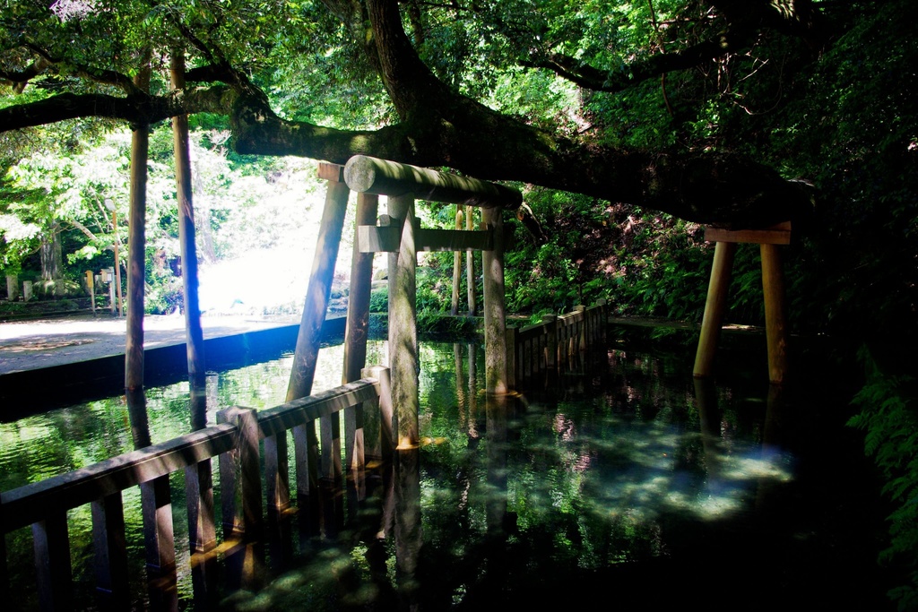 Photo Collection -Japan, Ibaraki (3)-