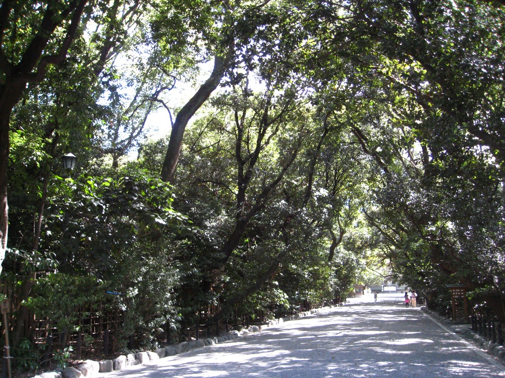 Photo Collection -Japan, Aichi (2)-