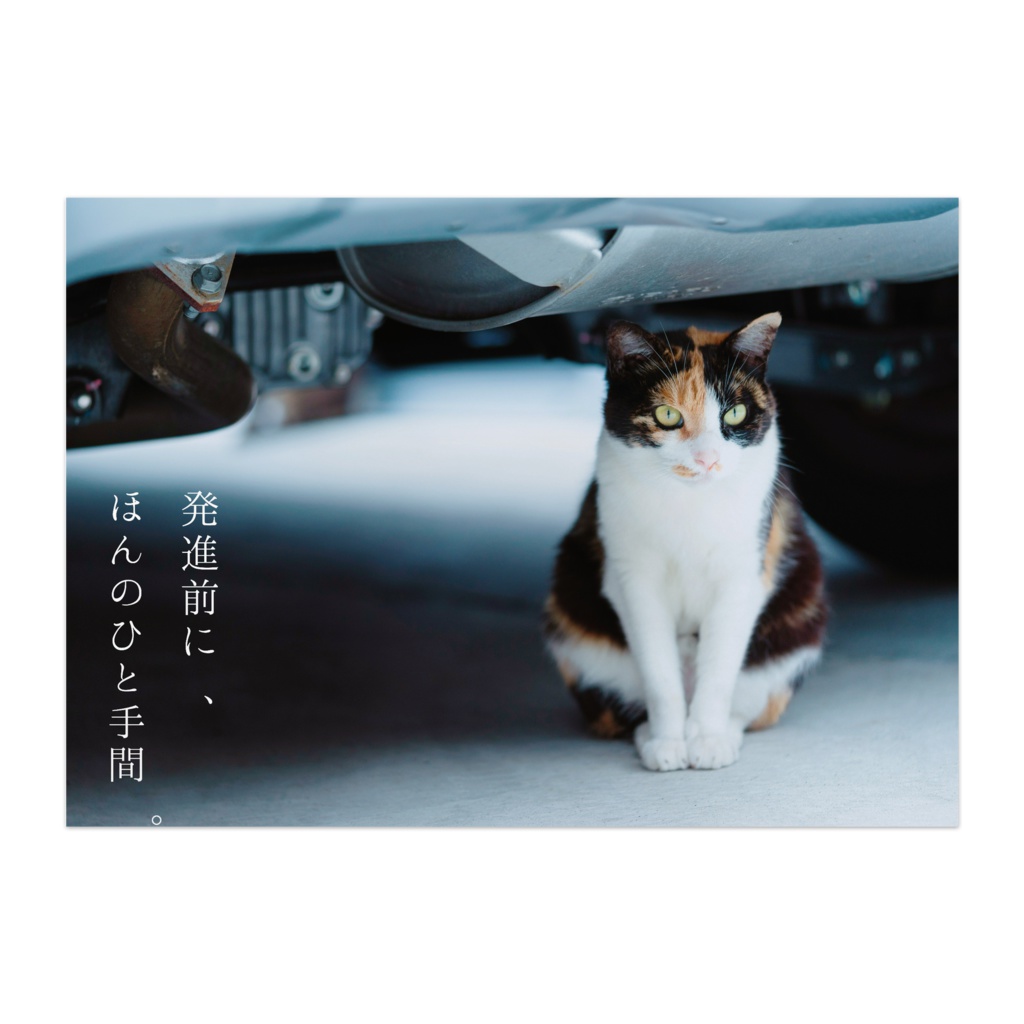 猫バンバン布教用ポスター【発進前に、ほんのひと手間。】