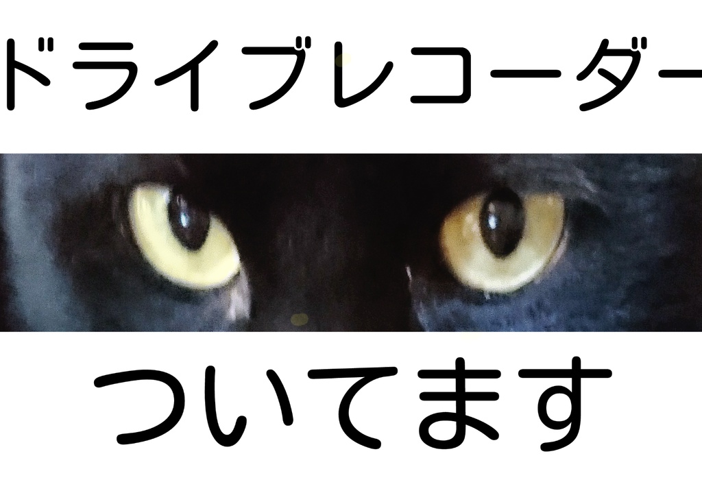 ネコノメ 見てますよステッカー 【全四種】