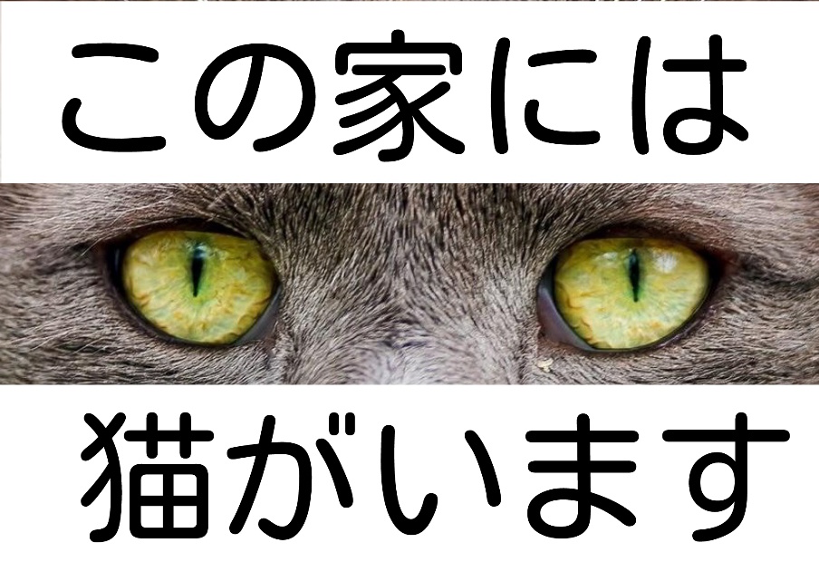 ネコノメ 見てますよステッカー 【全四種】