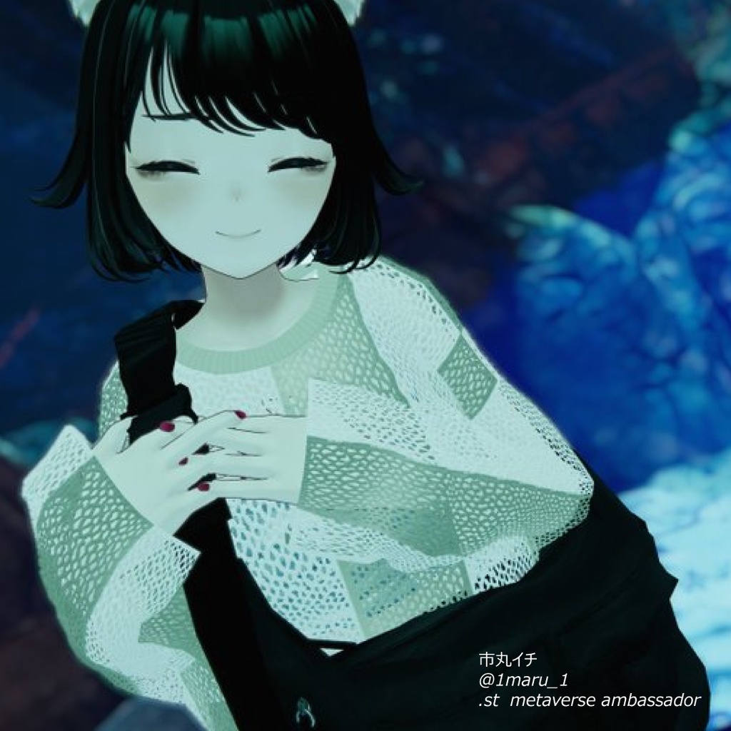 and ST JEANASIS 「mesh pullover co-ord」