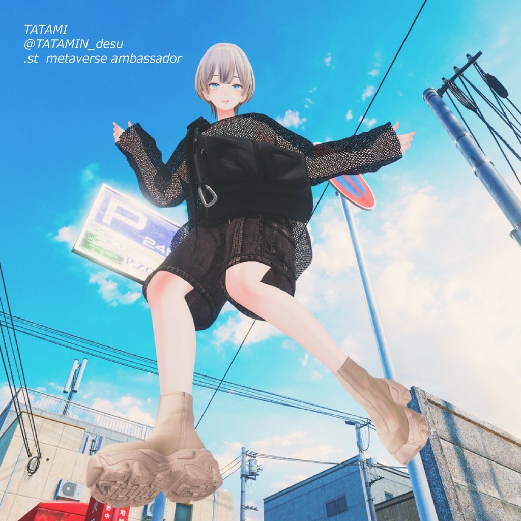 and ST JEANASIS 「mesh pullover co-ord」