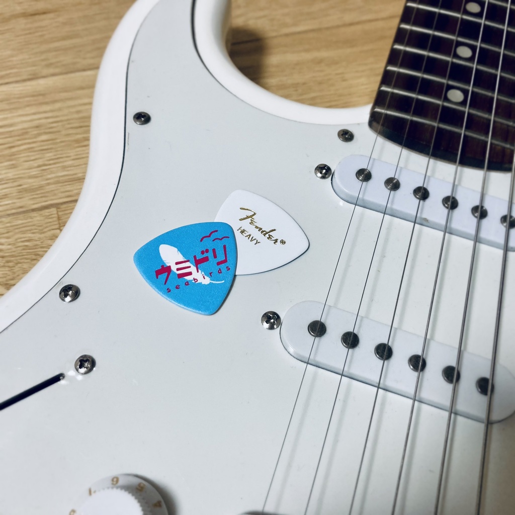 ロゴ入りギターピック【ウミドリ】