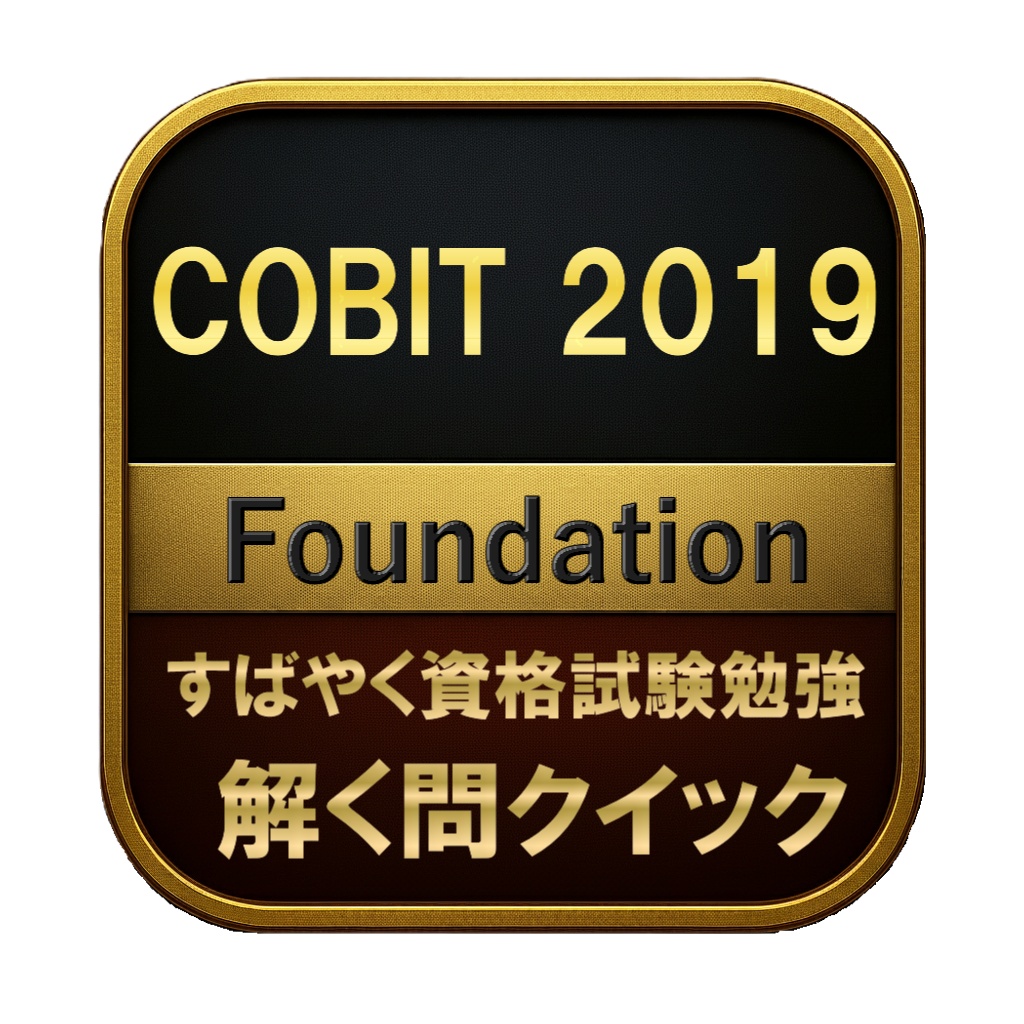 【200問】COBIT 2019 Foundation 問題集＆用語集＆解説