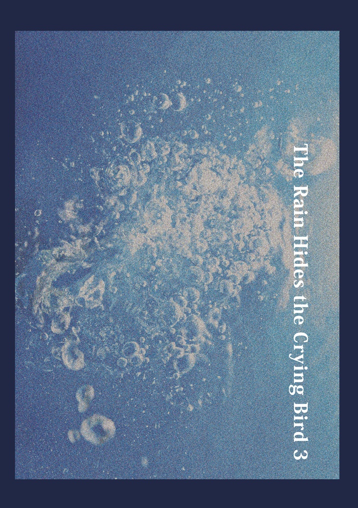 The Rain Hides the Crying Bird 3