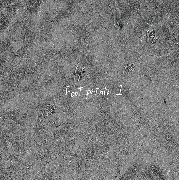 1st Full Album「Footprints1」CD