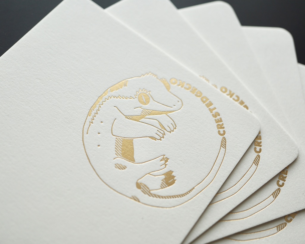 ペーパーコースター クレス トッケイ