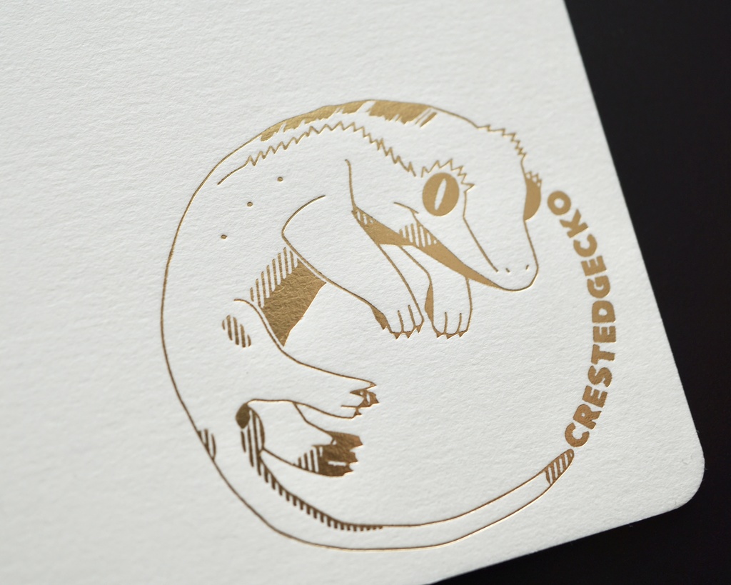 ペーパーコースター クレス トッケイ