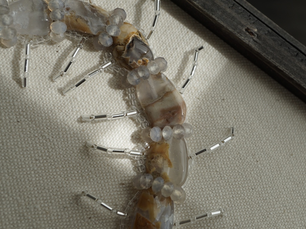 【年末セール10%引!5000▶︎4500円】再販無し一点物! 額入り昆虫ビーズ刺繍【ムカデ】 額サイズ(中)