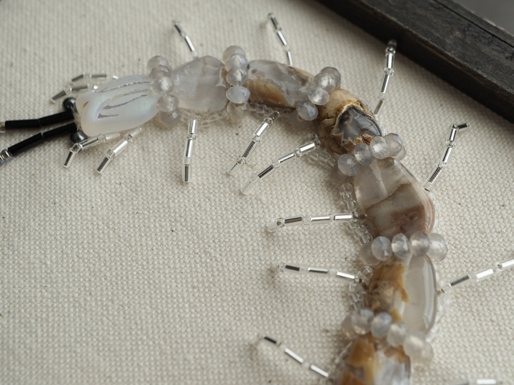 【年末セール10%引!5000▶︎4500円】再販無し一点物! 額入り昆虫ビーズ刺繍【ムカデ】 額サイズ(中)