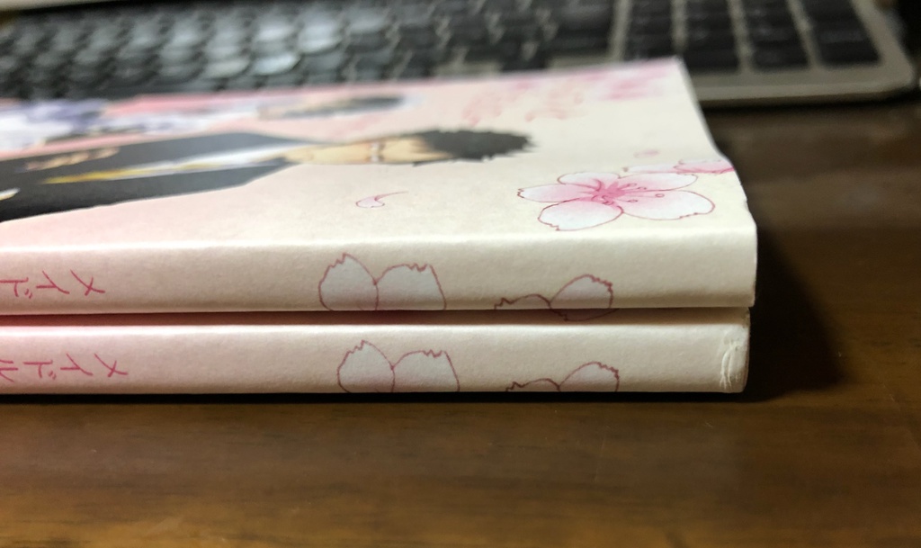 メイドルフィとご主人ロー