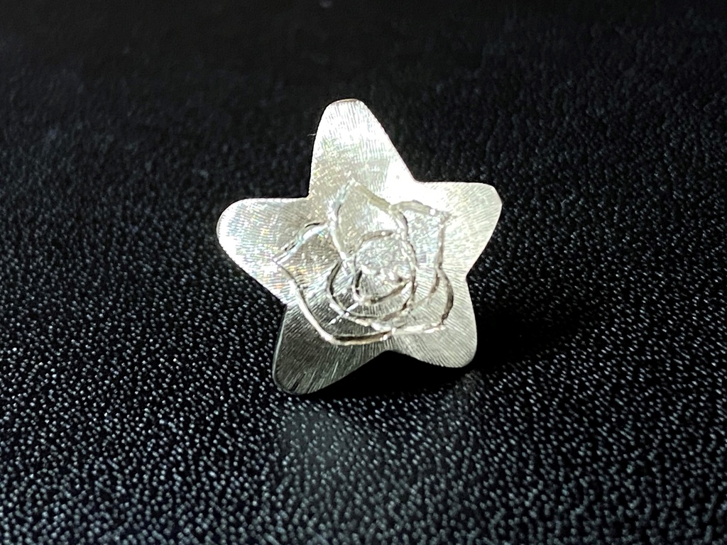 星とバラのキラキラ片耳ピアス