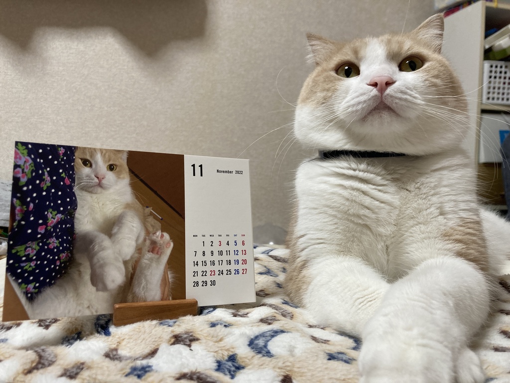 なつきカレンダー2022