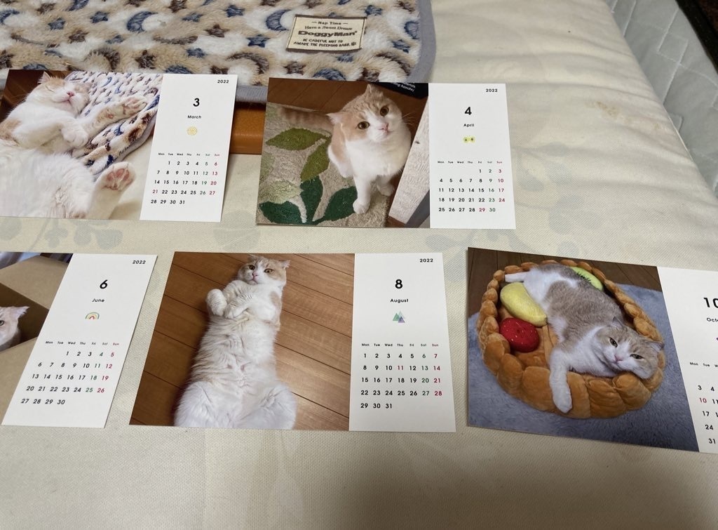なつきカレンダー2022 タイプ🅱️