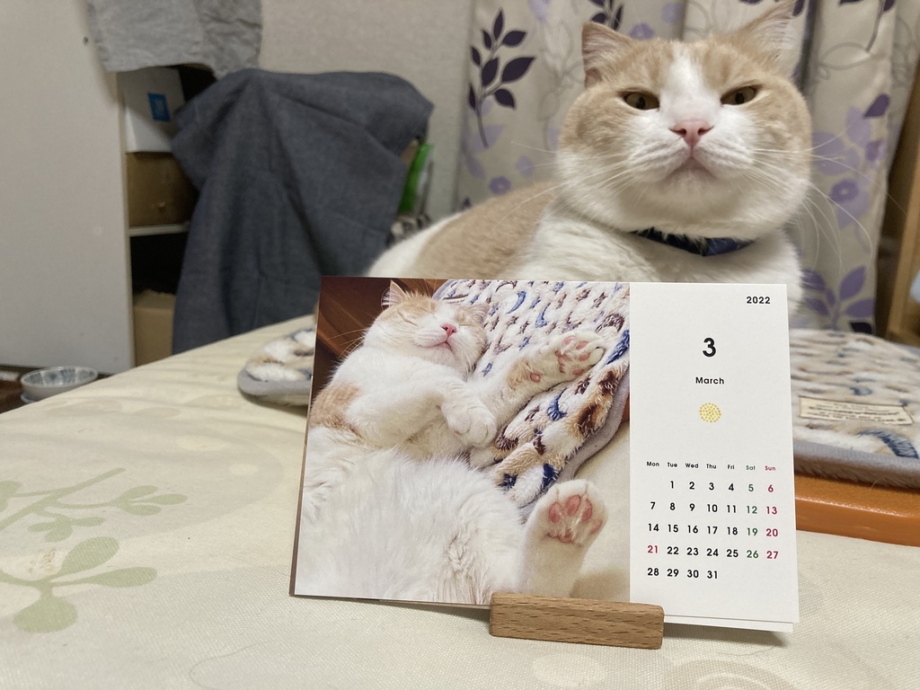 なつきカレンダー2022 タイプ🅱️