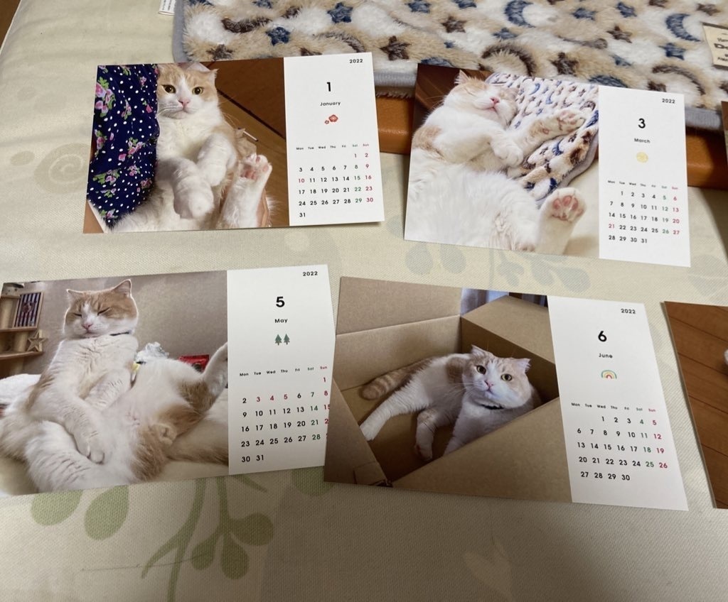なつきカレンダー2022 タイプ🅱️