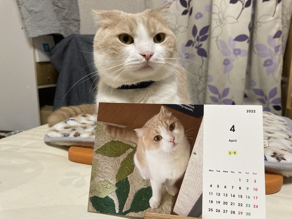 なつきカレンダー2022 タイプ🅱️