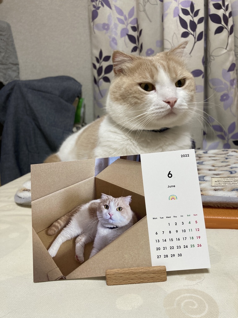 なつきカレンダー2022 タイプ🅱️