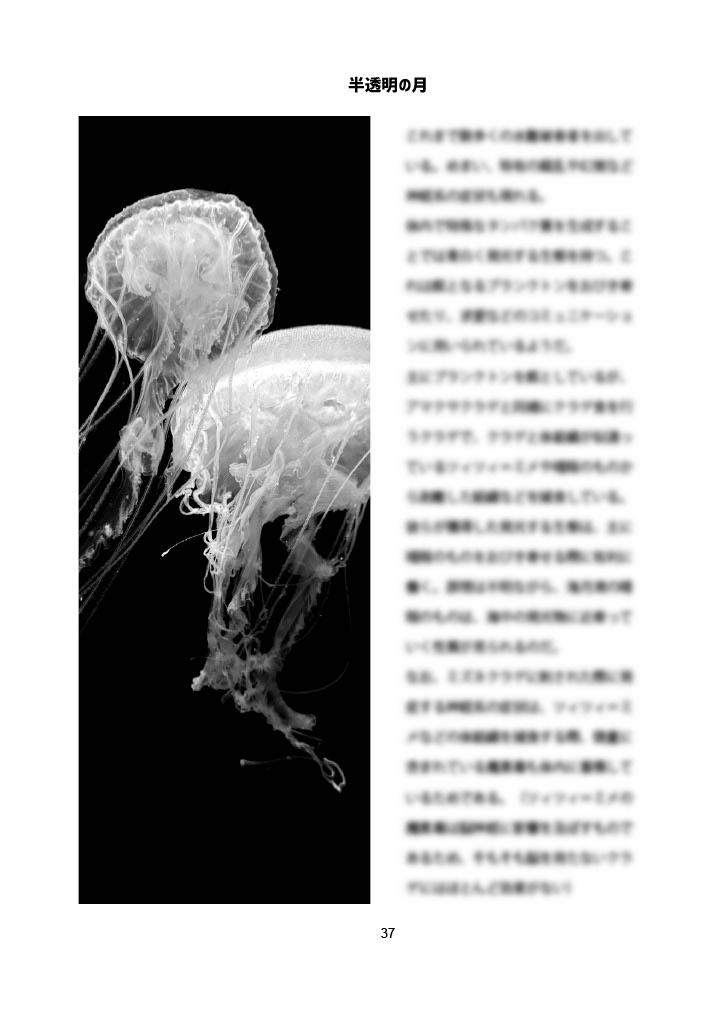 半透明の月【SPLL:E195751】