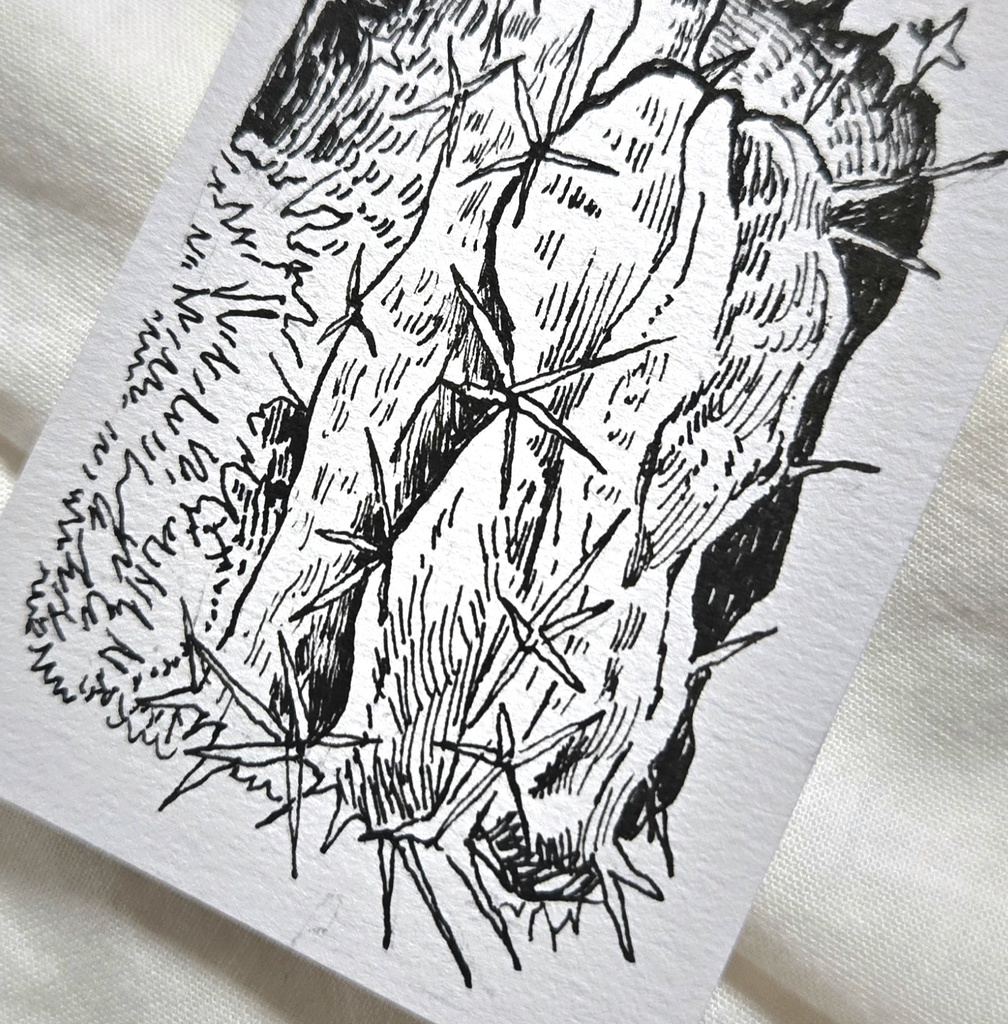 手のひらサイズです、原画いろいろ