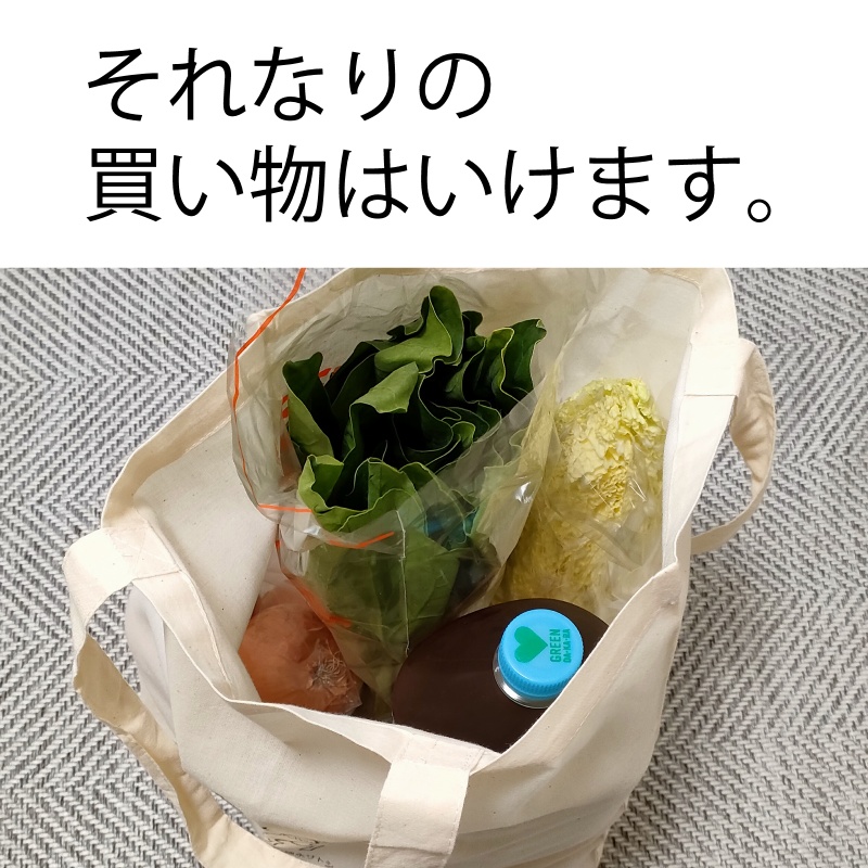 エコバッグ(下間頼廉)