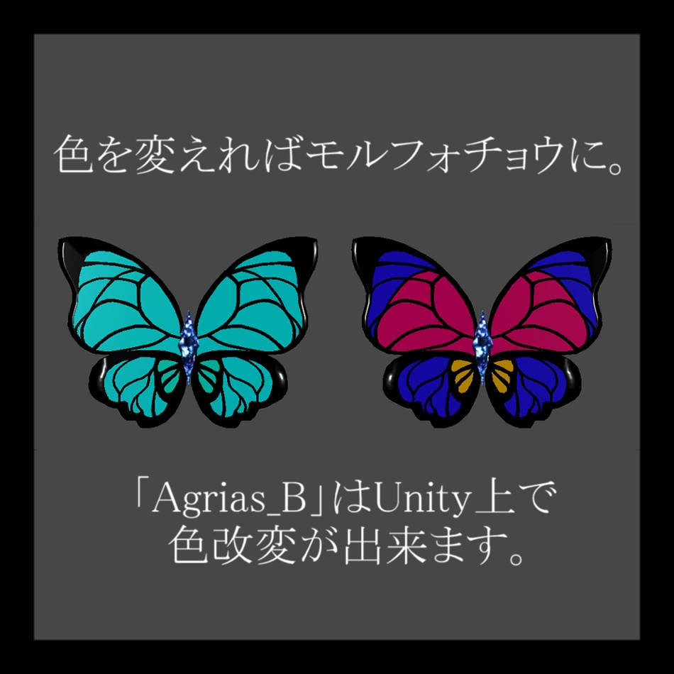 三色蛺蝶 -Agrias-