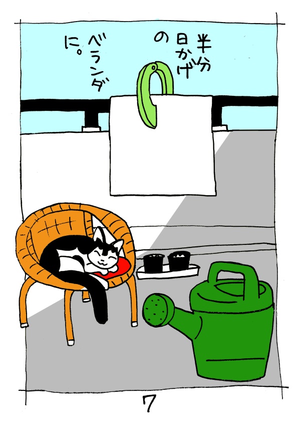 カレーリーフ実生録