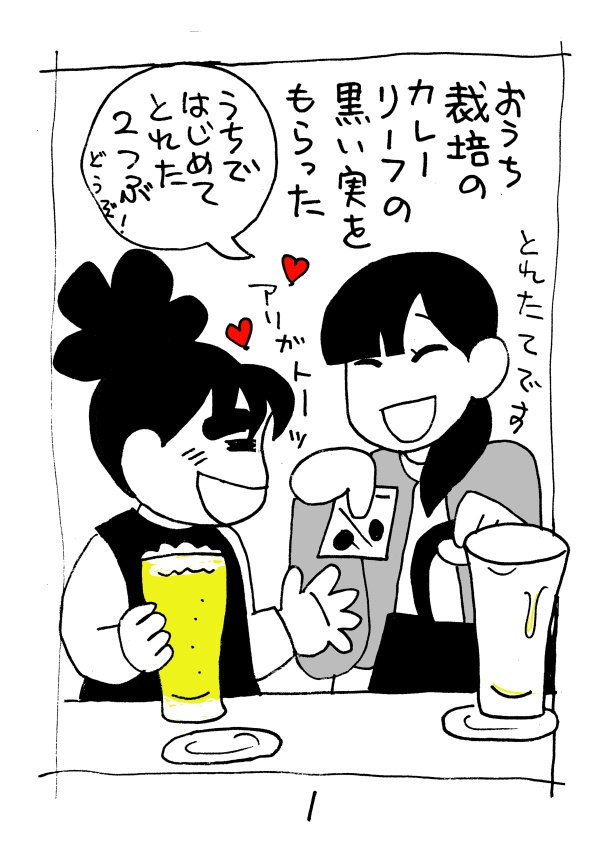 カレーリーフ実生録