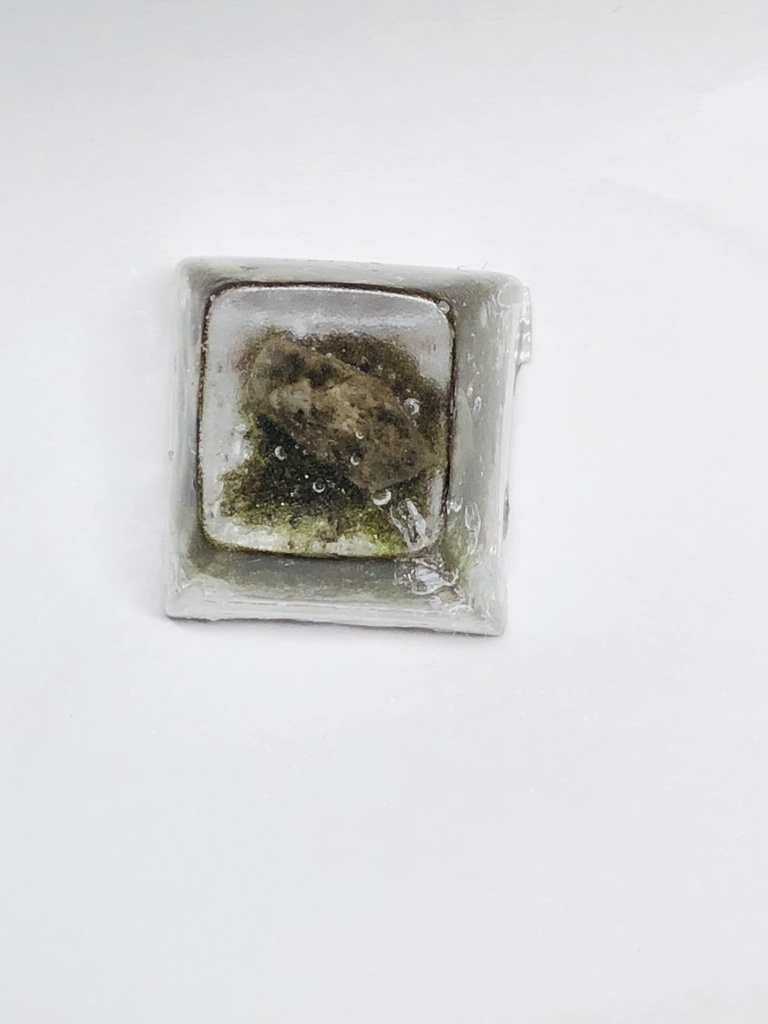 テラリウムキーキャップ