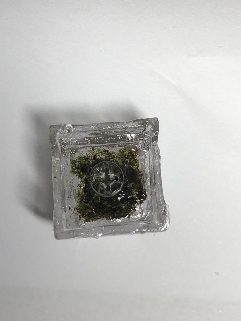 テラリウムキーキャップ