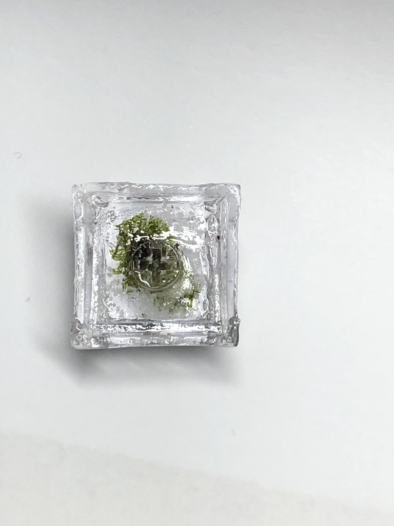 わびさびキーキャップ