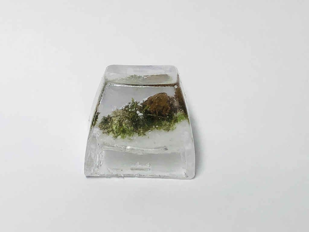 テラリウムキーキャップ