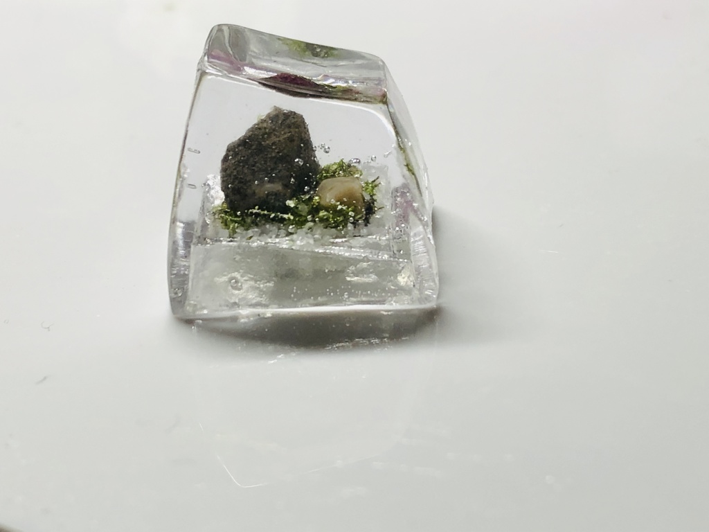 苔テラリウム　わびさびキーキャップ