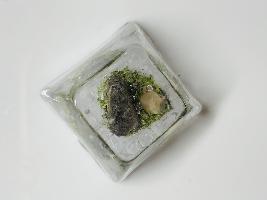 苔テラリウム わびさびキーキャップ