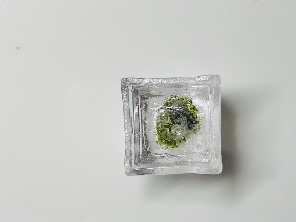 テラリウムキーキャップ