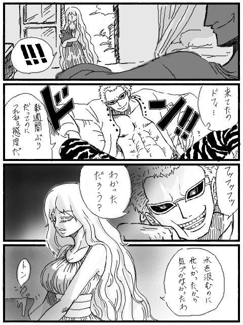 secret lover1&2+α(ドフラミンゴ夢漫画本)