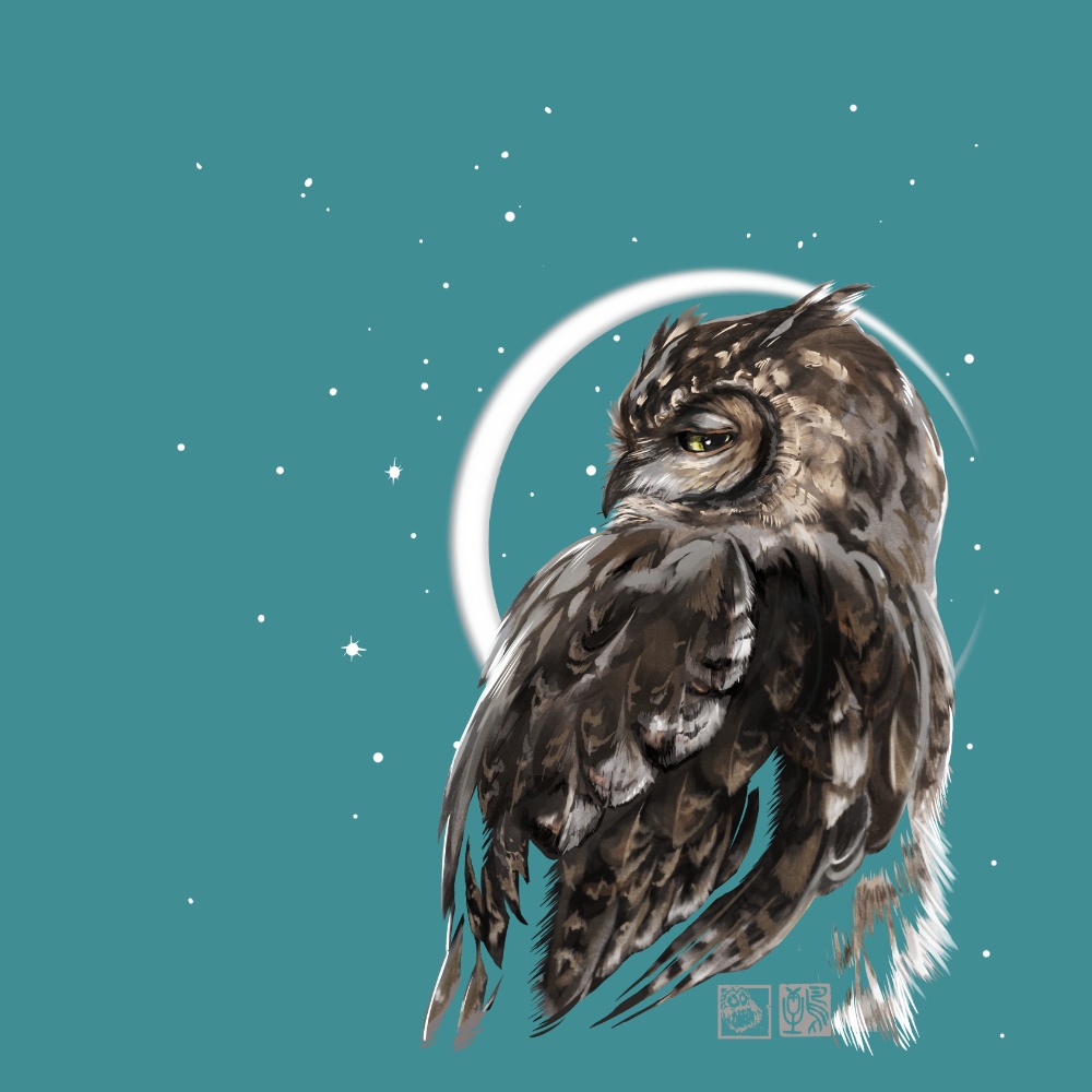 月とフクロウ