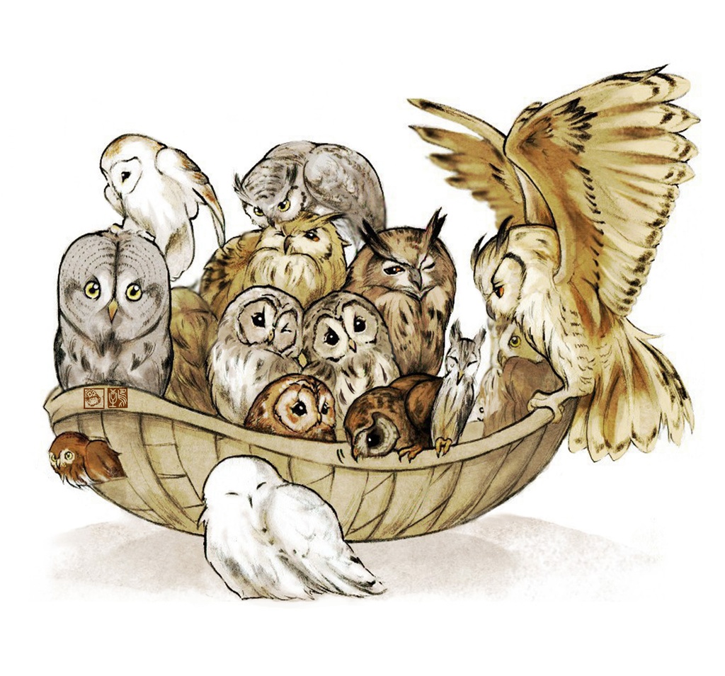 フクロウの盛り合わせ
