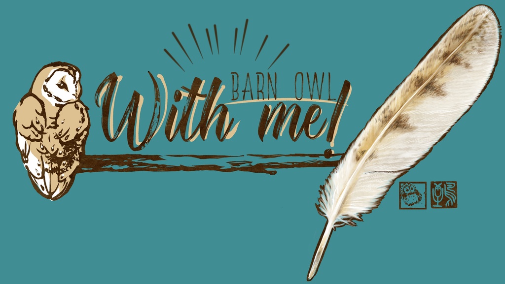 メンフクロウと羽根