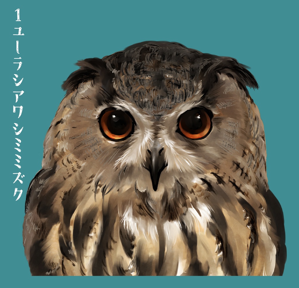 DLフクロウどあっぷイラスト